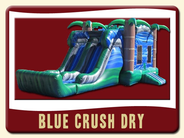 Blue Crush Dry Combo with Slide & Jump Rental - Tropical Palm Trees