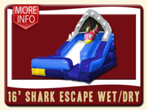 Shark Escape Wet Dry Pool Slide More Info - 16 ft tall, jaws, purple, 3d fish