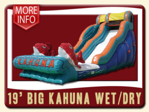 Big Kahuna Wet Dry Slide More Info - Fish, Pool, Peach, Blue