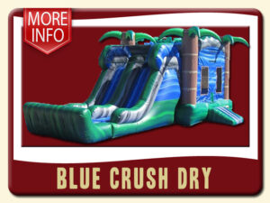 Blue Crush Dry Combo with Slide & Jump More Info - Tropical Palm Trees