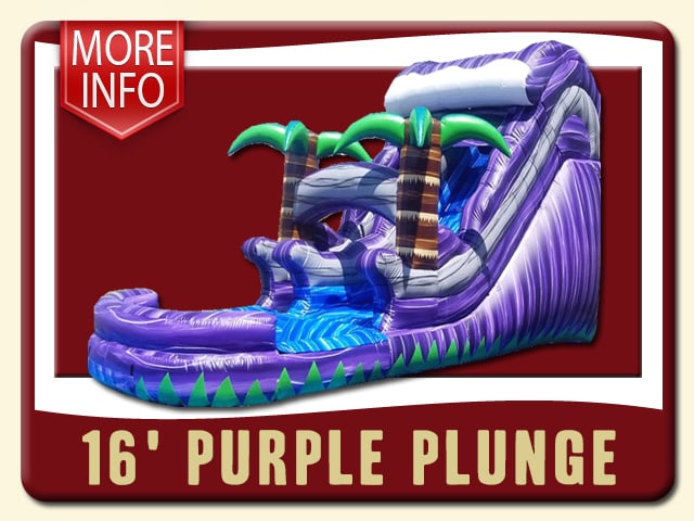 16' tall Purple Plunge water slide is topped w/ a purple wave white caped. The purple marbled outside. Two life-like palm trees and a pool - More Info