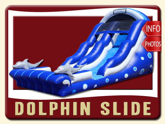 dolphin water slide inflatable party rental sanford price blue white