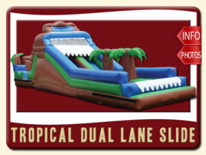 Tropical Dual Lane Water Slide Rental, Inflatable, Palm Trees, Blue, Green, Brown