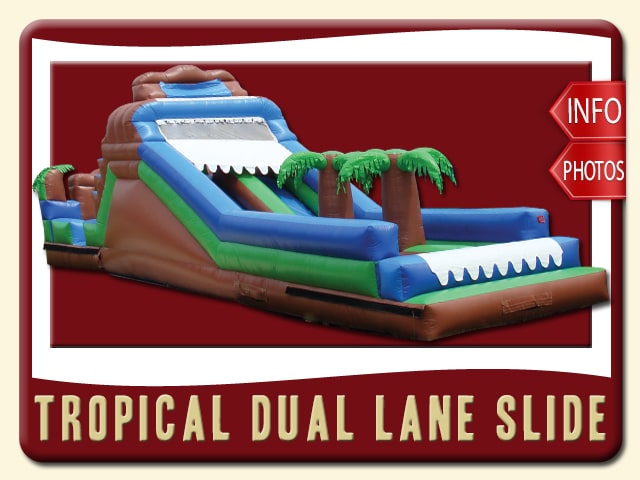 tropical dual water slide inflatable party rental st augustine price palm tree brown green blue