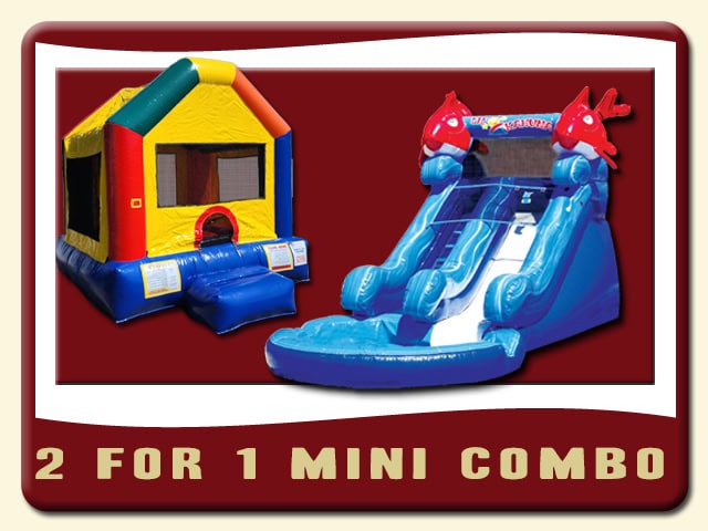 2 for 1 Inflatable Combo Deal - Water Slide & Bounce House